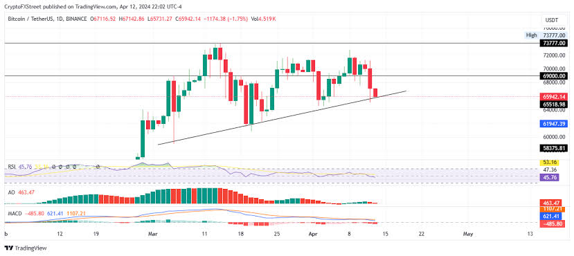 Bitcoin Price Prediction 2024
